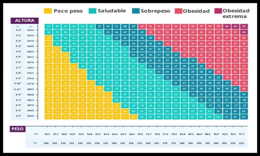 Índice de masa corporal y la obesidad (IMC)